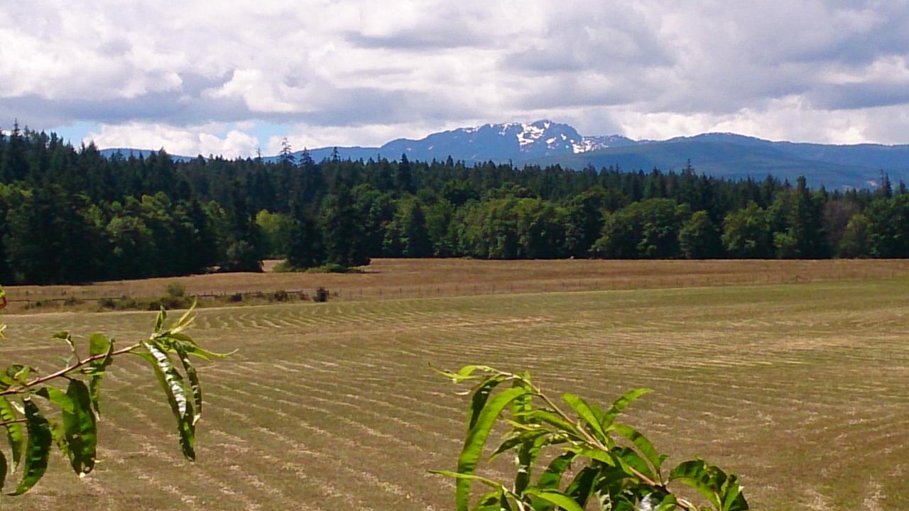 Paradise Acres Ranch Nanoose Bay Экстерьер фото