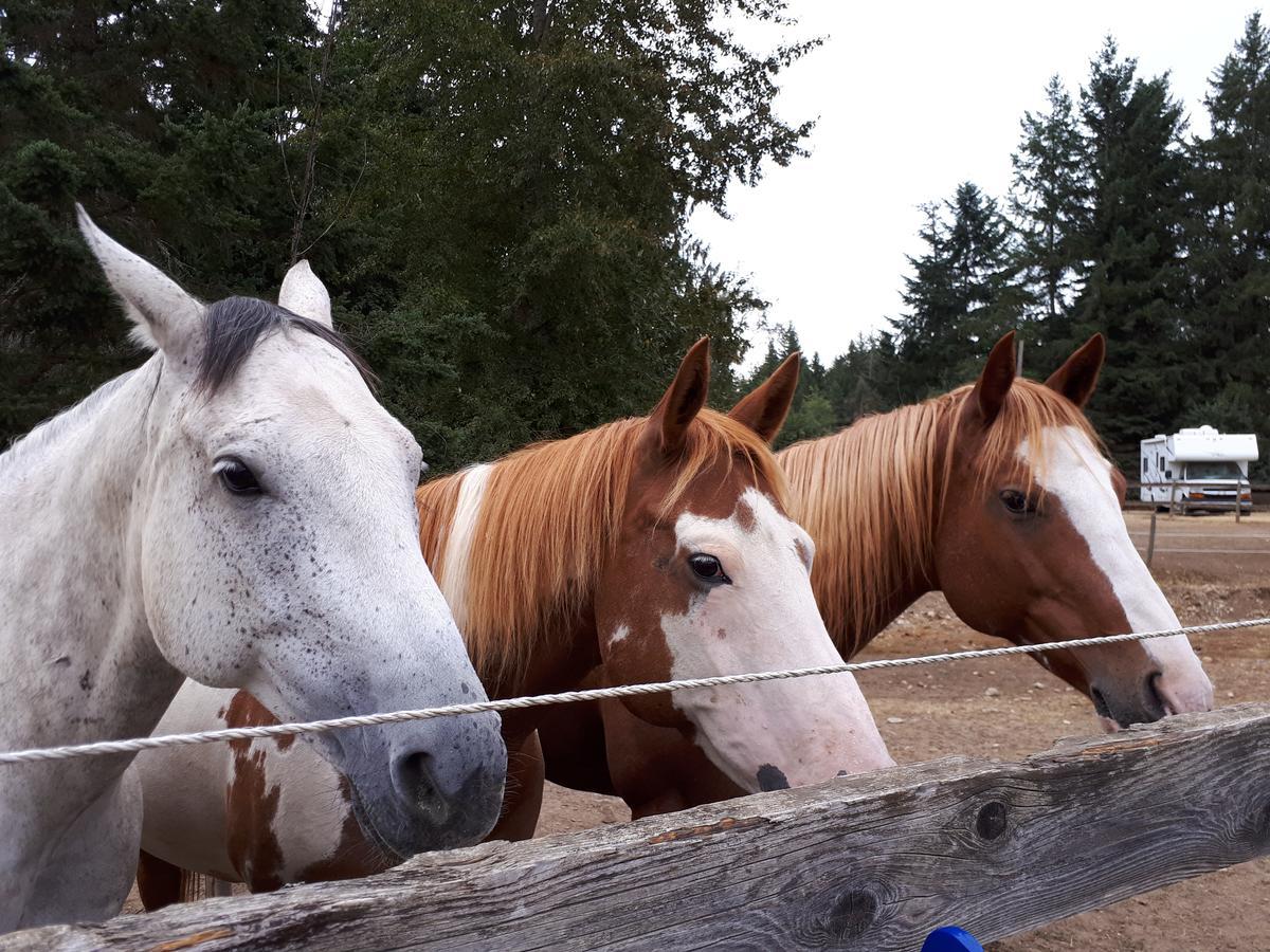Paradise Acres Ranch Nanoose Bay Экстерьер фото