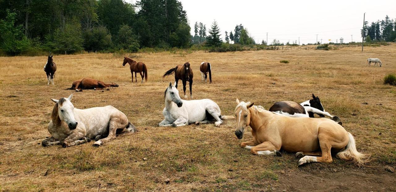 Paradise Acres Ranch Nanoose Bay Экстерьер фото
